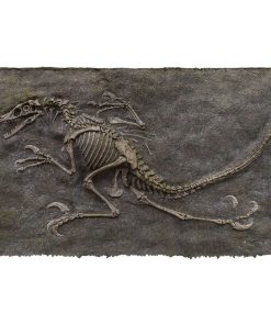Gearhuman 3D Dinosaur Fossil Doormat