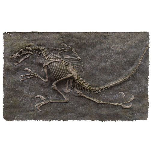 Gearhuman 3D Dinosaur Fossil Doormat 2 Gearhuman 3D Dinosaur Fossil Doormat