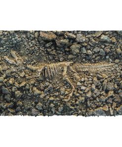 Gearhuman 3D Dinosaur Fossil Doormat