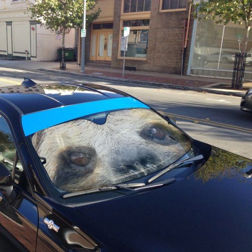Gearhuman 3D Sloth Smiling Eyes Sunshade - Image 6