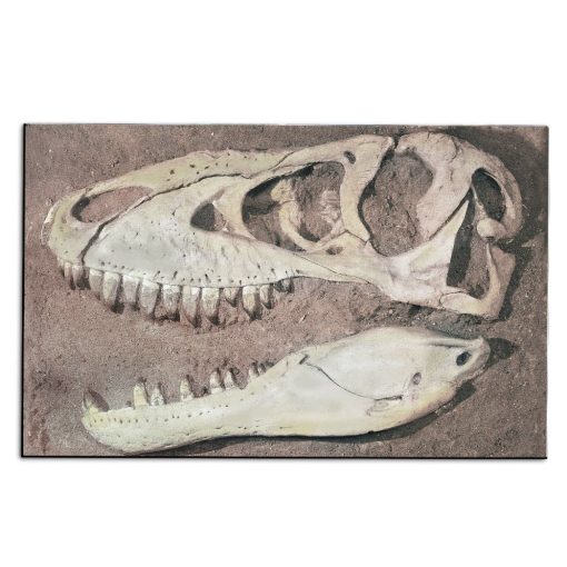 Gearhuman 3D T-rex Head Fossil Carpet 1 Gearhuman 3D T-rex Head Fossil Carpet