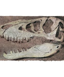Gearhuman 3D T-rex Head Fossil Doormat
