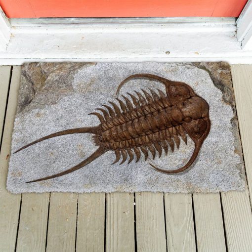 Gearhuman 3D Trilobite Fossil Doormat 3 Gearhuman 3D Trilobite Fossil Doormat - Image 2