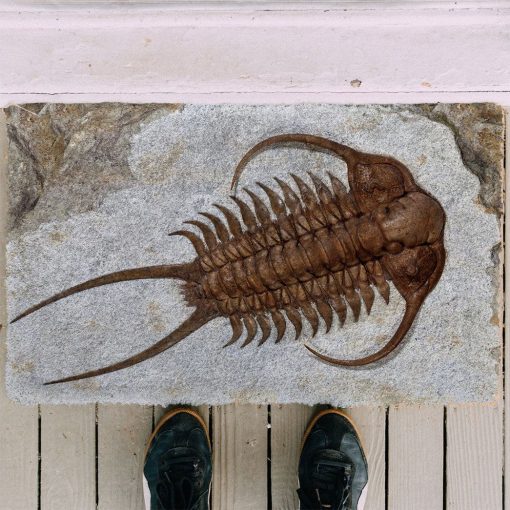 Gearhuman 3D Trilobite Fossil Doormat 4 Gearhuman 3D Trilobite Fossil Doormat - Image 3