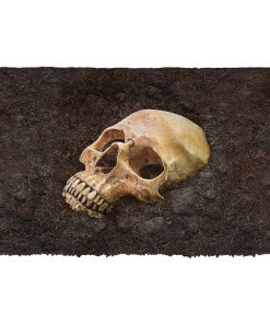 Gearhuman 3D Skull Bury Underground Doormat