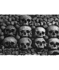 Gearhuman 3D Skulls Doormat