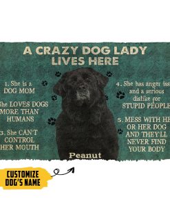 Gearhumans 3D A Crazy Dog Lady Lives Here Newfoundland Custom Name Doormat