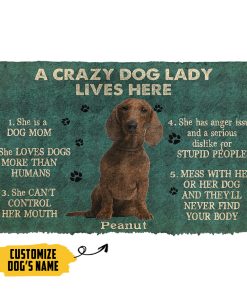 Gearhumans 3D A Crazy Dog Lady Lives Here Brown Dachshund Custom Name Doormat