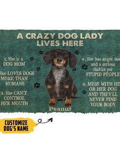 Gearhumans 3D A Crazy Dog Lady Lives Here Black Dachshund Custom Name Doormat