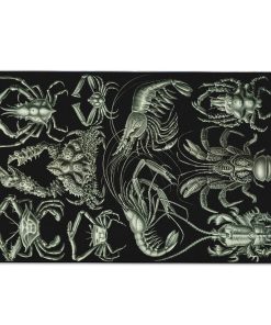 Gearhumans 3D Haeckel Nature Decapoda Crustaceans Custom Carpet