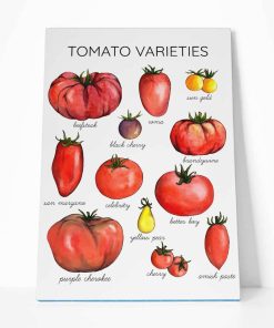 Gearhumans Tomato Varieties Canvas