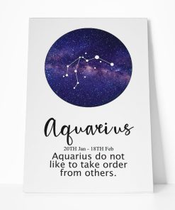 Gearhumans Aquarius Do Not Like To Take Orders From Others Canvas