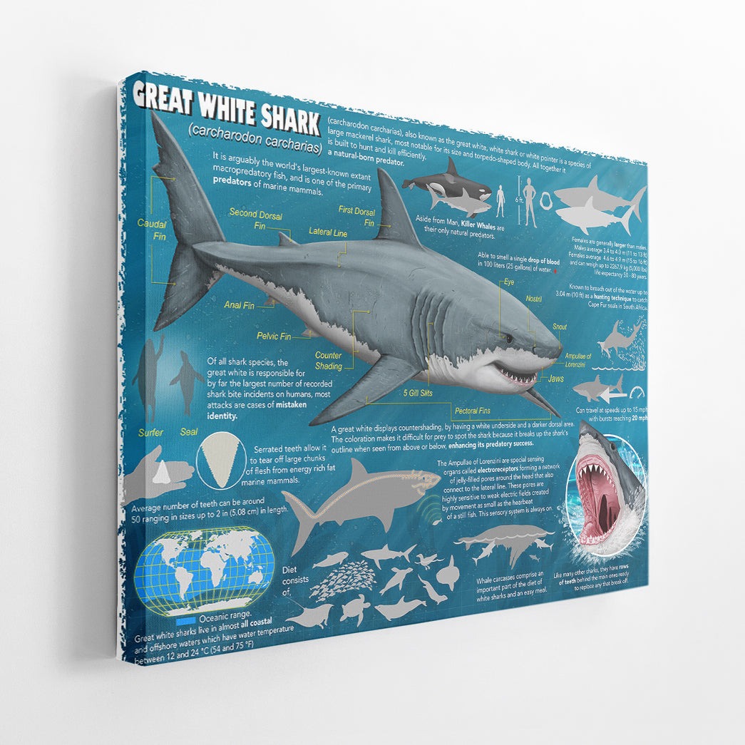 Gearhumans 3D Great White Shark Canvas 2 Gearhumans 3D Great White Shark Canvas - Image 2