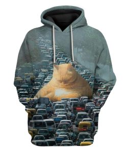 Blursed Roadblock Cat Custom T-Shirts Hoodies Apparel CT-AT3001204 3D Custom Fleece Hoodies Hoodie S 