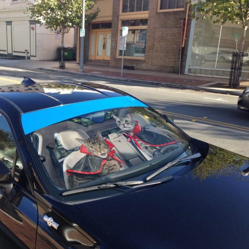 Gearhumans 3D Halloween American Shorthair Cats Vampire Custom Car Auto Sunshade - Image 4