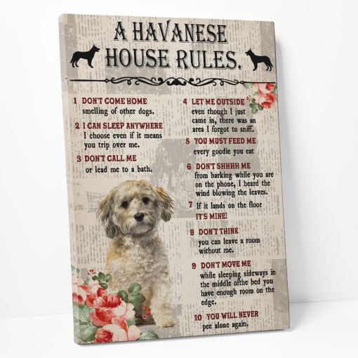 Gearhuman 3D A Havanese House Rules Canvas GK040258 Canvas
