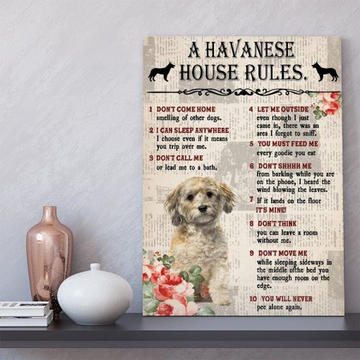 Gearhuman 3D A Havanese House Rules Canvas GK040258 Canvas