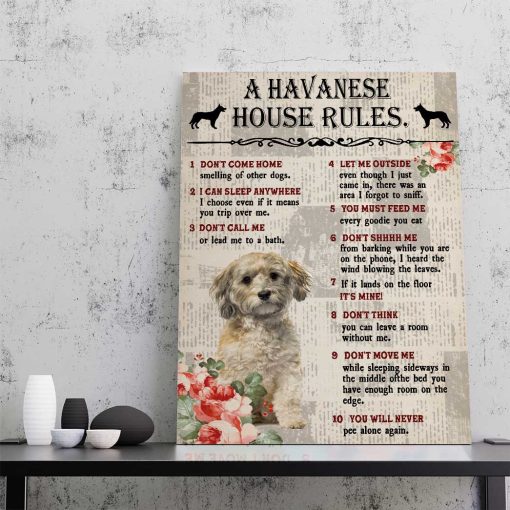 Gearhuman 3D A Havanese House Rules Canvas GK040258 Canvas