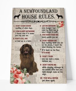 Gearhuman 3D A Newfoundland House Rules Canvas GK040228 Canvas 1 Piece Non Frame M