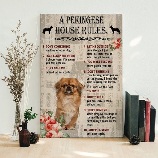 Gearhuman 3D A Pekingese House Rules Canvas GK040238 Canvas