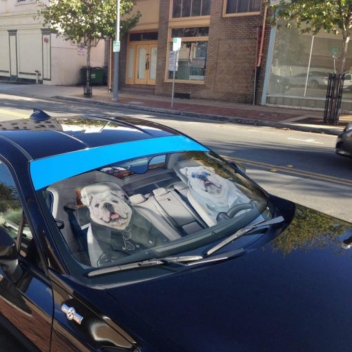 Gearhuman 3D Bulldog 17 Custom Car Auto Sunshade GV260823 Auto Sunshade