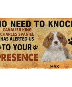 Gearhuman 3D No Need To Knock Cavalier King Charles Spaniel Dog Custom Name Doormat GV28012 Doormat Doormat S(15,8''x23,6'')