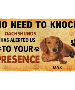 Gearhuman 3D No Need To Knock Dachshunds Dog Custom Name Doormat GV270115 Doormat Doormat S(15,8''x23,6'')