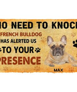 Gearhuman 3D No Need To Knock French Bulldog Dog Custom Name Doormat GV270114 Doormat Doormat S(15,8''x23,6'')