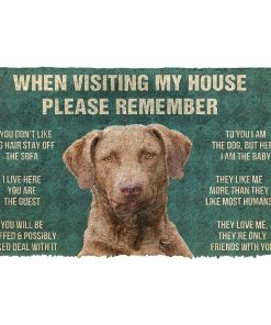 Gearhuman 3D Please Remember Chesapeake Bay Retriever Dogs House Rules Custom Doormat GB220113 Doormat Doormat S(15,8''x23,6'')