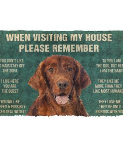 Gearhuman 3D Please Remember Irish Setter House Rules Custom Doormat GR230112 Doormat Doormat S(15,8''x23,6'')