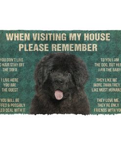 Gearhuman 3D Please Remember Newfoundland House Rules Custom Doormat GR230115 Doormat Doormat S(15,8''x23,6'')