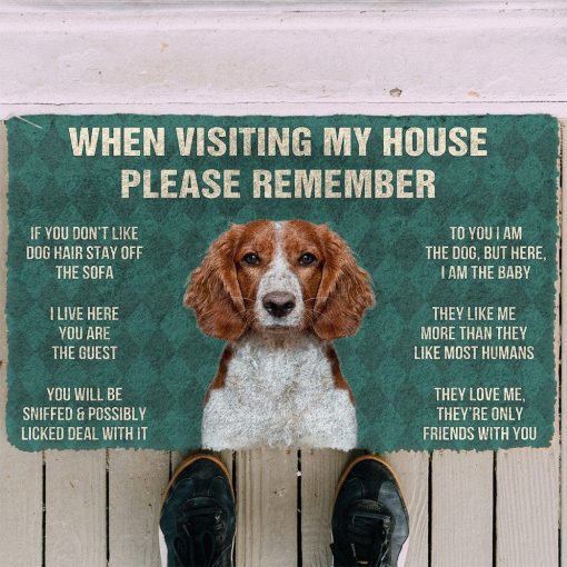 GearHuman 3D Please Remember Welsh Springer Spaniel Dogs House Rules Doormat GV250140 Doormat