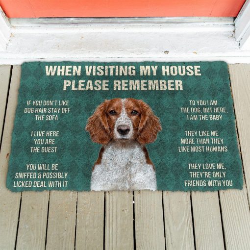 GearHuman 3D Please Remember Welsh Springer Spaniel Dogs House Rules Doormat GV250140 Doormat