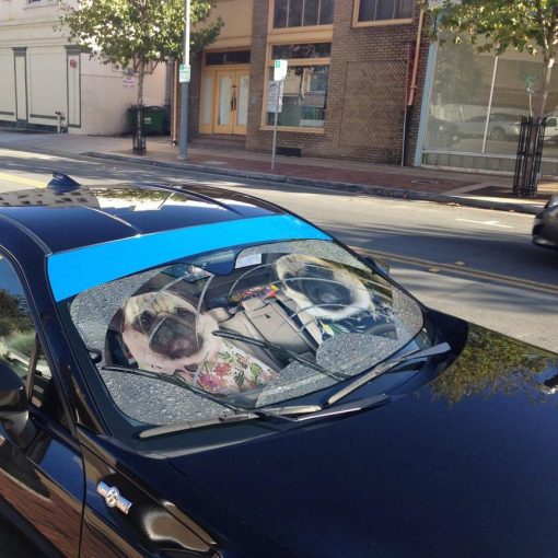 Gearhuman 3D Pugs Rain Custom Car Auto Sunshade GV31087 Auto Sunshade