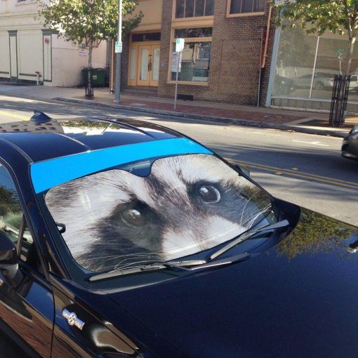 Gearhuman 3D Raccoon Eyes Sunshade ZK0707213 Auto Sunshade