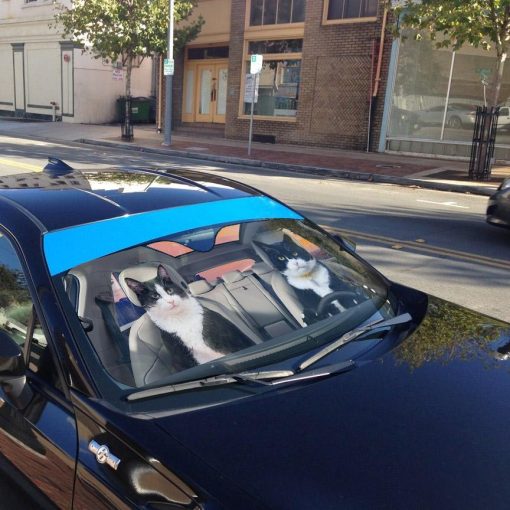 Gearhuman 3D Texudo Cat Auto Car Sunshade GV01031 Auto Sunshade