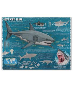 Gearhumans 3D Great White Shark Canvas ZK1905218 Canvas 1 Piece Non Frame M