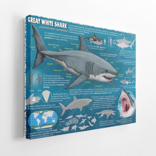 Gearhumans 3D Great White Shark Canvas ZK1905218 Canvas