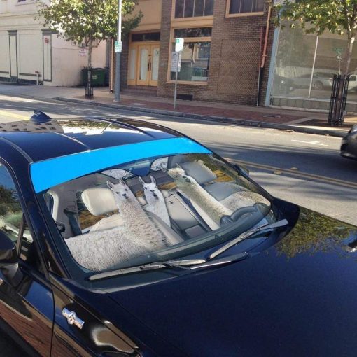 gearhumans 3D Llama Custom Car Auto Sunshade GL03084 Auto Sunshade