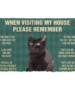 Gearhumans 3D Please Remember Black Kitten Cats House Rules Custom Doormat GO10052125 Doormat Doormat S(15,8inchx23,6inch) 