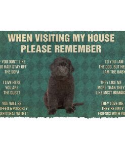 Gearhumans 3D Please Remember Newfoundland Puppy Dogs House Rules Custom Doormat GO17052122 Doormat Doormat S(15,8inchx23,6inch) 