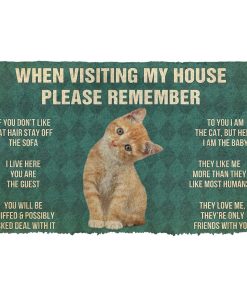 Gearhumans 3D Please Remember Orange Tabby Kitten Cats House Rules Custom Doormat GO10052123 Doormat Doormat S(15,8inchx23,6inch) 