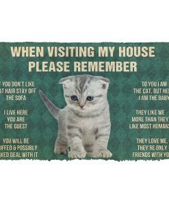 Gearhumans 3D Please Remember Scottish Fold Kitten Cats House Rules Custom Doormat GO10052127 Doormat Doormat S(15,8inchx23,6inch) 
