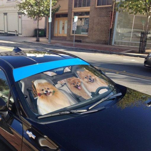 gearhumans 3D Pomeranian Custom Car Auto Sunshade GL200716 Auto Sunshade