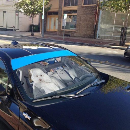 gearhumans 3D Poodle Custom Sunshade GS19066 Auto Sunshade