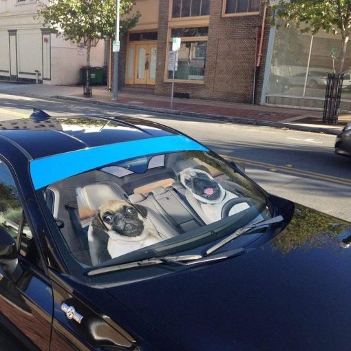 gearhumans 3D Pug Custom Car Auto Sunshade GL15068 Auto Sunshade