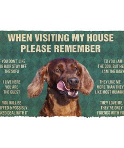 Gearhumans Gearhuman 3D Please Remember Irish Setters House Rule Custom Doormat GW26032 Doormat Doormat S(15,8''x23,6'') 