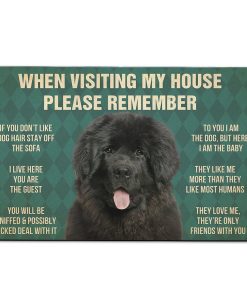 Gearhumans Gearhuman 3D Please Remember Newfoundland Carpet GV22035 Square Carpet Carpet S