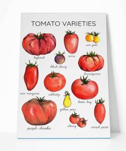 Gearhumans Tomato Varieties Canvas ZK1805215 Canvas 1 Piece Non Frame M