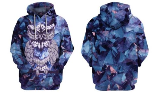 Owl Hoodies - T-Shirt Apparel HL101160 3D Custom Fleece Hoodies
